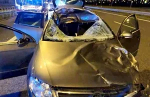 Zderzenie z jeleniem na autostradzie A4. Nie żyje pasażer samochodu.