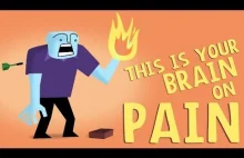 Jak mózg reaguje na ból [ENG]