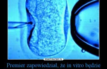 Czy podatnik powinien finansować in vitro?