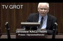 Jarosław Kaczyński masakruje rozhisteryzowaną lewacką targowicę