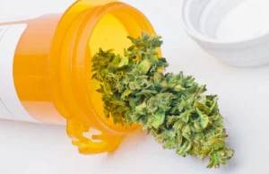 Niemiecka firma będzie dostarczać medyczną marihuanę do Polski