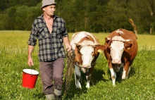 Polscy rolnicy też pomogą Syrii? 350 tysięcy dzieci dostanie mleko