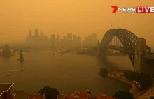 Sydney. Najcieplejszy dzień w historii. Port zmienił kolor na pomarańczowy