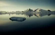 Obrazki z Antarktydy