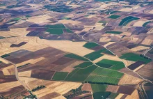 Satelity w służbie polskiego rolnictwa