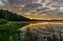 Tytul: Księga Lasów - od widłaka do suk biłgorajskich