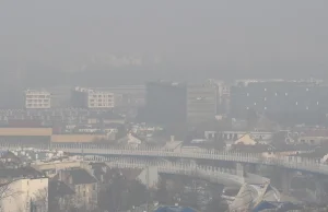 Nie wychodźcie dziś na spacer! Dramatyczne dane nt. smogu