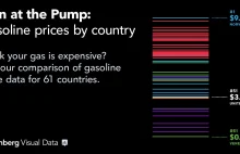 Ranking cen paliw z 61 państw