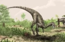 Najstarszy dinozaur (albo najbliższy krewny)