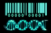 Patenty genetyczne już całkiem nas zawłaszczyły?