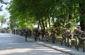 Weganin odrzucony przez szwajcarską armię