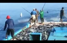 Widowiskowy połów na Malediwach