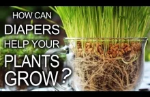Chcesz 2 razy rzadziej podlewać rośliny?