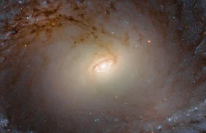 Teleskop Hubble'a wykonał spektakularne zdjęcie sąsiedniej galaktyki