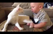 Nie byli pewni, w jaki sposób kot zareaguje na ich dziecko.