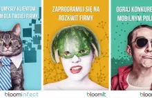 Jak zachęcić do zapisywania się na newsletter? - Bloomboard Blog