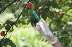 Unijne kraje mówią "stop GMO", ale tylko na niby