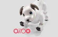 aibo - pies od firmy Sony