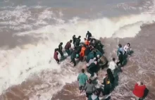 Uratowano sześć orek, które utknęły na plaży w Argentynie.