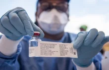 Eksperymentalna szczepionka przeciw wirusowi Ebola skuteczna w 97,5%