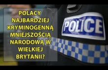 Polacy w Wielkiej Brytanii dokonują najwięcej przestępstw?
