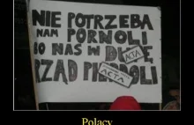 Polacy i ACTA :)