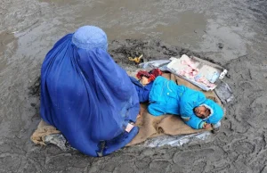 Dramatyczny los afgańskich wdów!