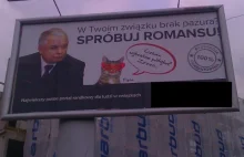 Kaczyński z kotem reklamują na bilbordach portal randkowy