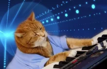 Odszedł Bento znany szerzej jako Keyboard Cat.