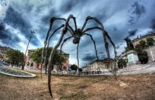 Ogromny pająk za 4 mln $