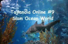 Thailand Online #9 - Siam Ocean Word