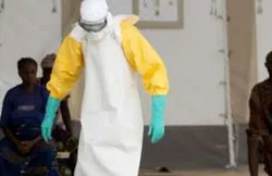 Nowe przypadki wirusa eboli w Sierra Leone