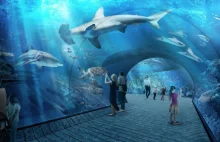 Największe w Europie. Oceanarium Nautilus Gdańsk zostanie otworzone w 2022 roku