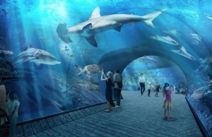 Największe w Europie. Oceanarium Nautilus Gdańsk zostanie otworzone w 2022 roku