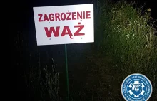 Sprawdzają właścicieli pytonów w całym kraju. Jest dochodzenie policji