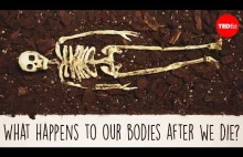 Co się dzieje z naszymi ciałami po śmierci?