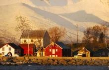 Ponad 100 dzieci wykorzystanych seksualnie. Żyły w sekcie na północy Norwegii