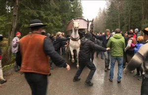 Awantura na drodze do Morskiego Oka. Ekolodzy kontra fiakrzy