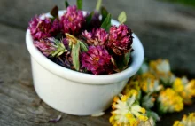 Zioła, Kwiaty i ich zastosowanie: 6 ziół łagodzących negatywne skutki...