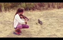 Dziewczyna gra Hallelujah na skrzypcach dla małej wiewiórki