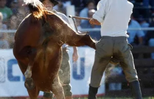 Wzloty i upadki argentyńskich kowbojów - gauchos