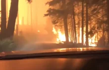 Ojciec z synem uciekali przez płonący las. Wstrząsająca relacja [WIDEO