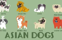 Skąd pochodzą poszczególne rasy psów?