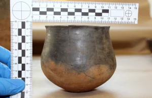 Naczynia z epoki brązu znalezione przypadkiem w mieszkaniu w Wilanowie