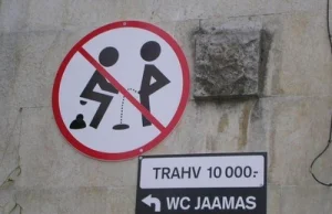 Ciekawe notatki znalezione w WC