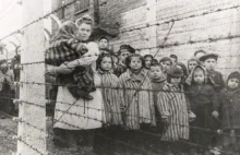 Wyzwolenie obozów zagłady Auschwitz