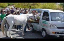 Koń na pogrzebie swojego właściciela przytula trumnę NIESAMOWITE