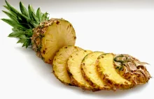 Is Pineapple an Apple which Grows on a Pine? ~ English for Lunch