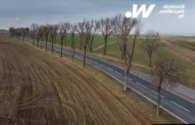 Dolny Śląsk. Wytną ponad 100 drzew. W tym te wzdłuż krajowej 35