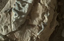 Curiosity odkrył coś, co może sugerować istnienie w przeszłości życia na Marsie
